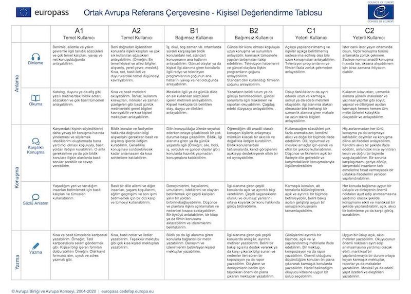 self assessment language skills