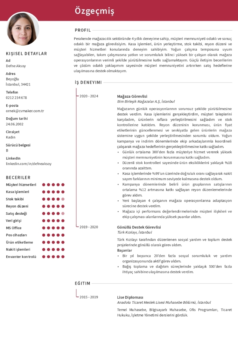 A101 CV Örneği