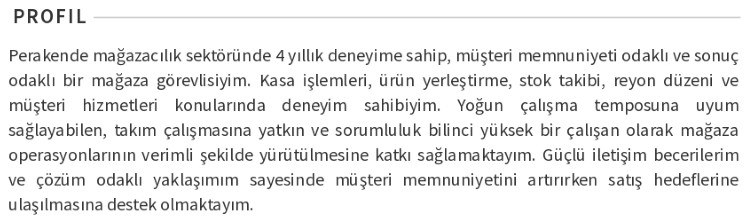 A101 CV profil özeti