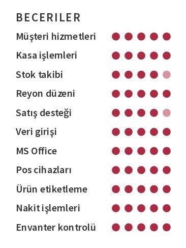 A101 CV Beceriler