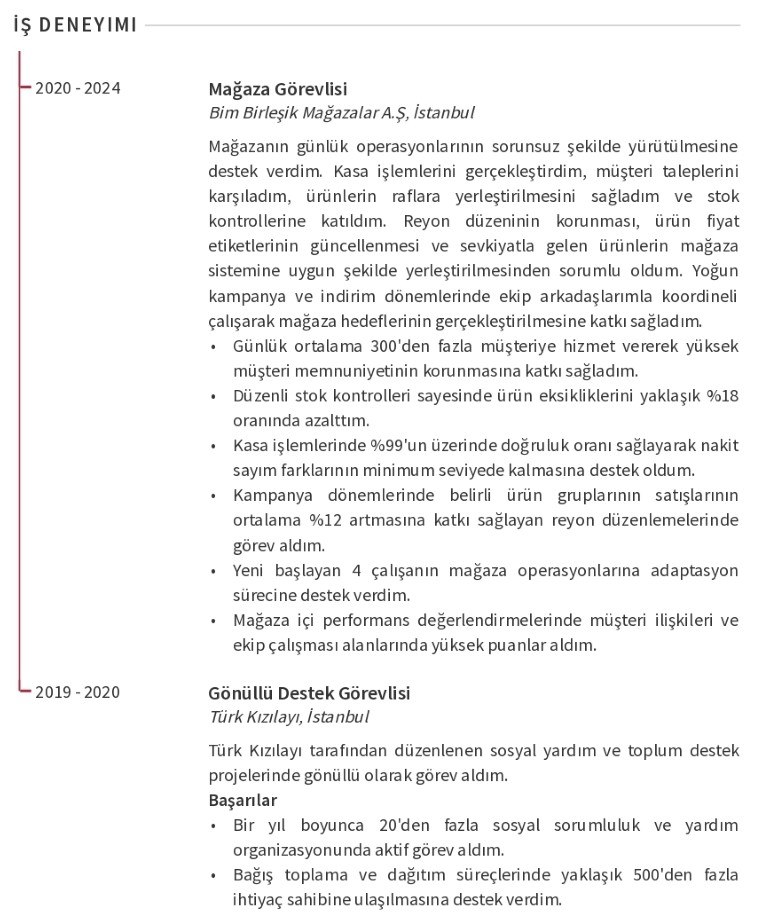 A101 CV İş Deneyimi