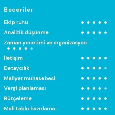 Muhasebeci CV’si Beceri Muhasebeci CV’si Beceri