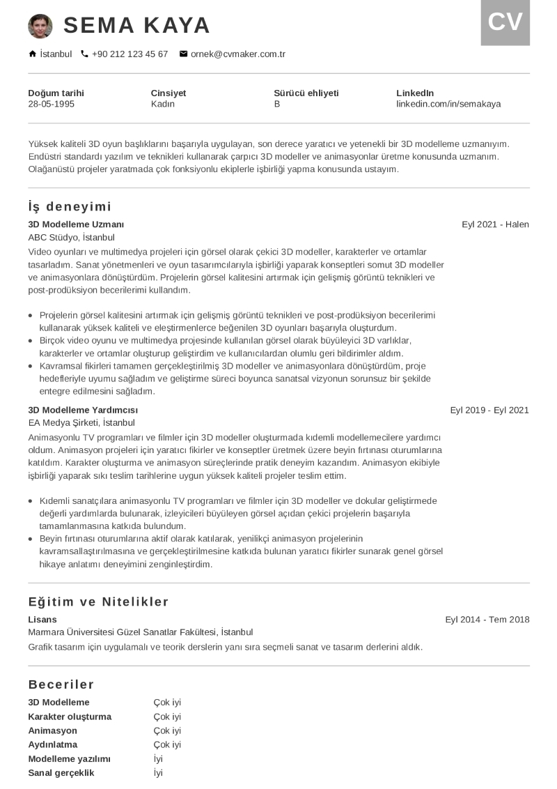 Sanatçı CV Örneği