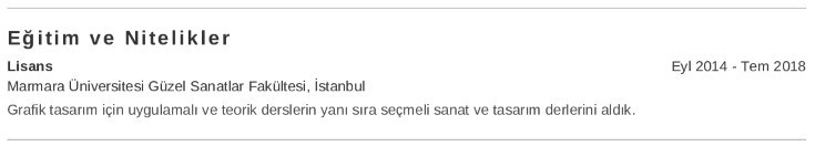 Sanatçı CV’si Eğitim
