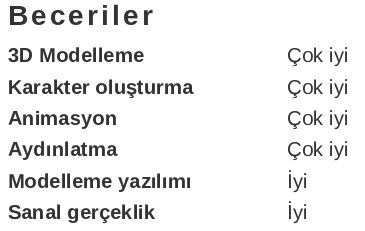 Sanatçı CV’si Beceriler