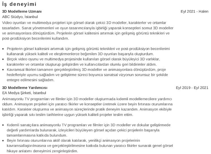 Sanatçı CV’si İş Deneyimi