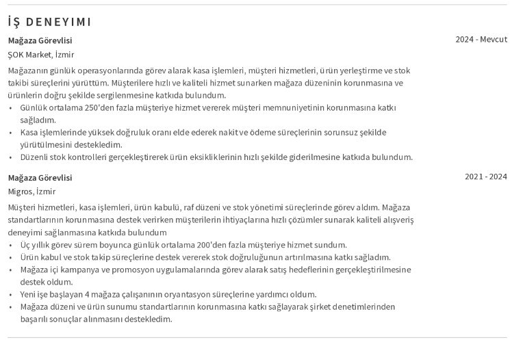 Bim CV İş Deneyimi Bim CV İş Deneyimi