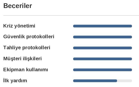 Kabin Memuru CV’si Beceri