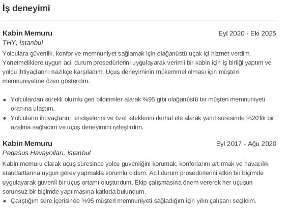 Kabin Memuru CV’si İş Deneyimi
