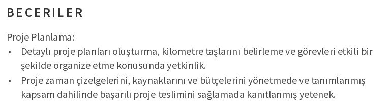 Kariyer Değişikliği CV’si Becerilerinizi