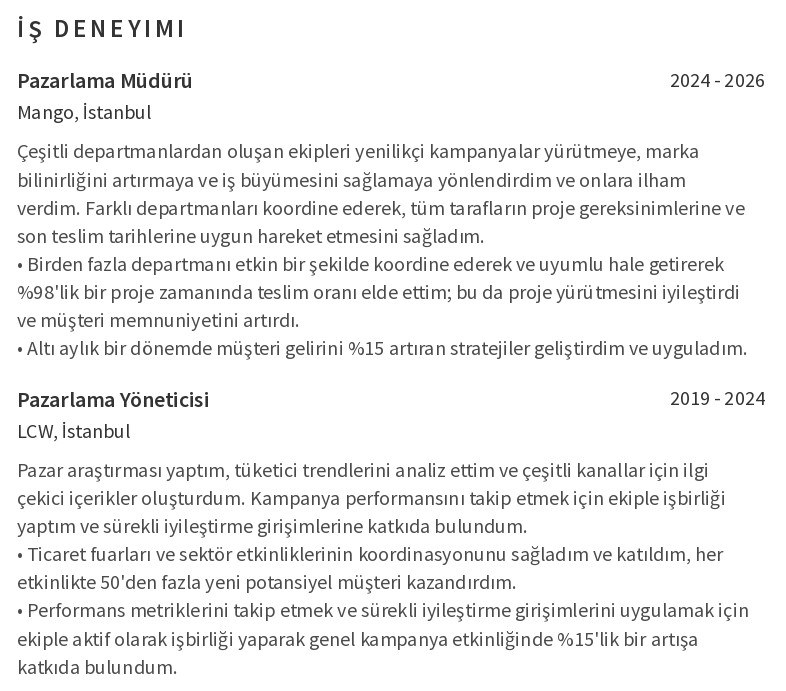 Kariyer Değişikliği CV’si İş Deneyimi