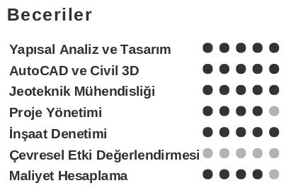 İnşaat Mühendisi CV’si Beceriler