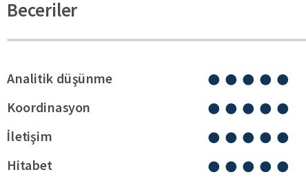 Memur CV'si Beceriler