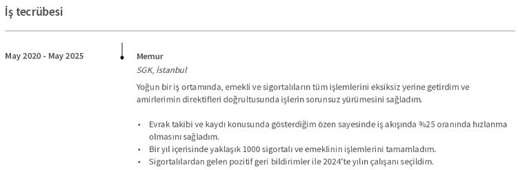 Memur CV'si İş Deneyimi