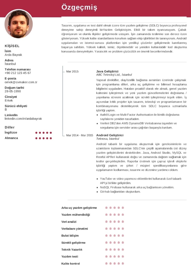 Bilgisayar Becerileri CV Örneği Bilgisayar Becerileri CV Örneği