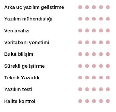 Bilgisayar Becerileri CV de Nereye Yazılmalıdır? Bilgisayar Becerileri CV de Nereye Yazılmalıdır?