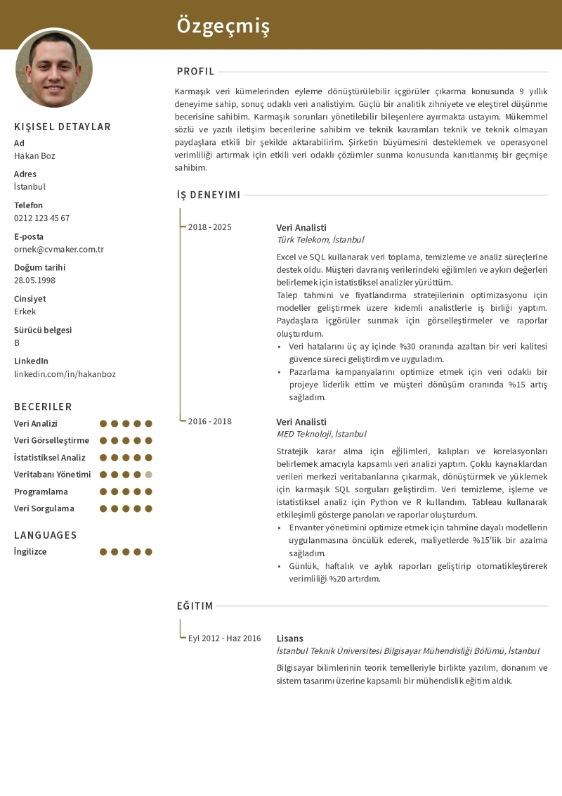 Veri Analisti CV Örneği
