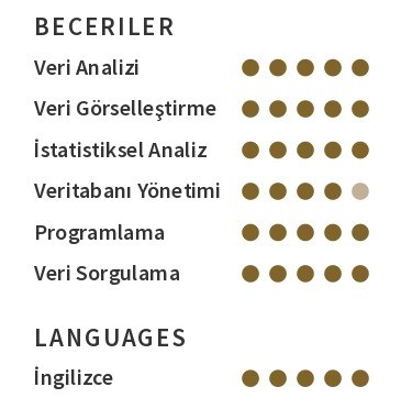 Veri Analisti CV’si Beceriler Veri Analisti CV’si Beceriler