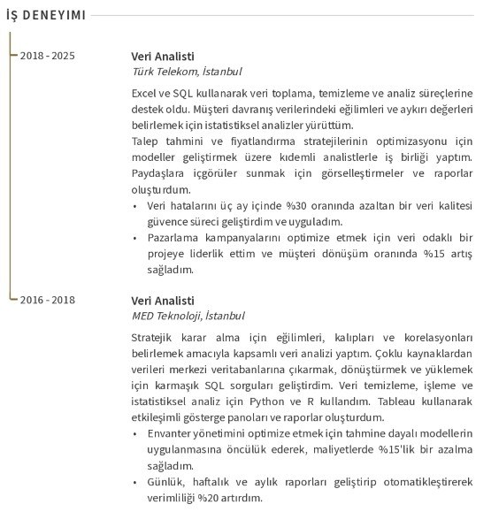 Veri Analisti CV’si İş Deneyimi Veri Analisti CV’si İş Deneyimi