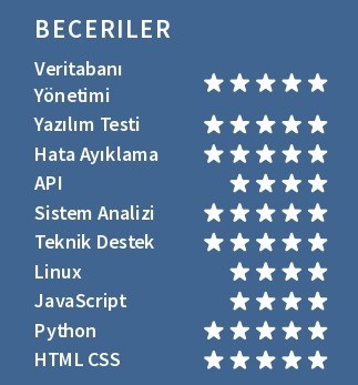 Beceriler CV Kişisel Profil