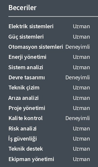 Elektrik elektronik mühendisi CV beceriler Elektrik elektronik mühendisi CV beceriler