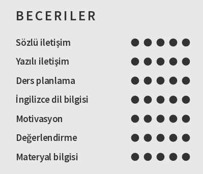 İngilizce Öğretmeni CV Becerileri İngilizce Öğretmeni CV Becerileri