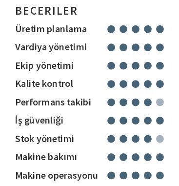 Beceriler CV profil özeti Beceriler CV profil özeti