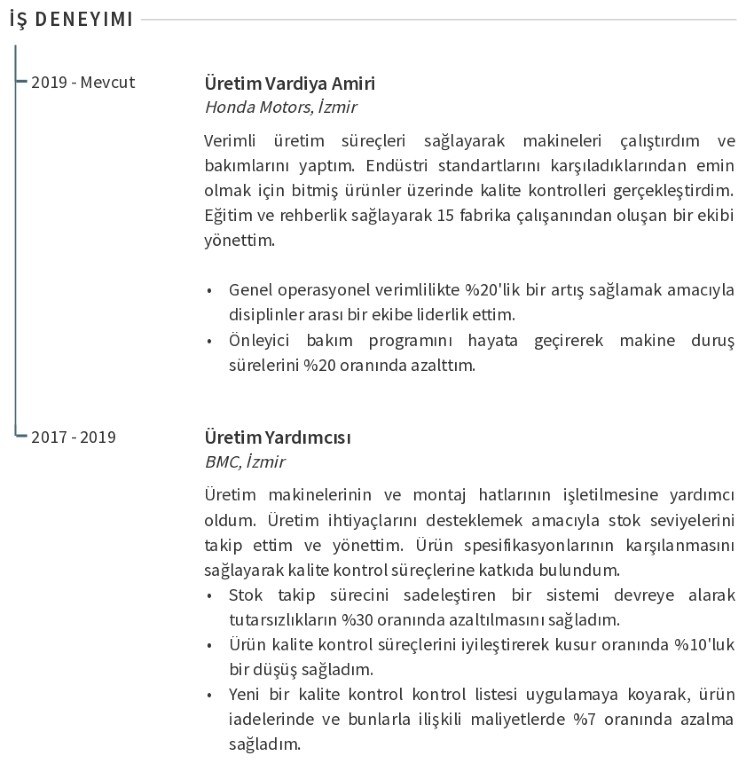 İş Deneyimi CV profil özeti İş Deneyimi CV profil özeti