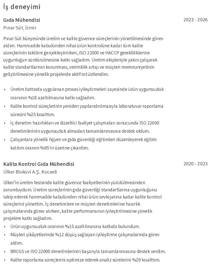 Gıda Mühendisi CV İş Deneyimi