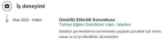 Lise Öğrencis CV’si İş Deneyimi