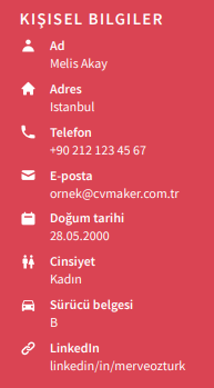 Stajyer CV’si İletişim Bilgileri Stajyer CV’si İletişim Bilgileri