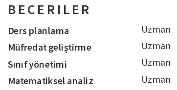 Matematik Öğretmeni CV'si Beceriler