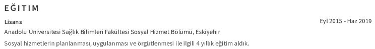 Sosyal Hizmet CV'si Eğitim