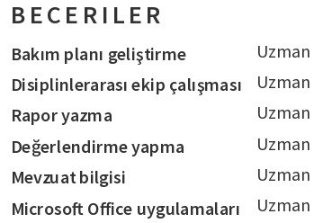 Sosyal Hizmet CV'si Beceriler