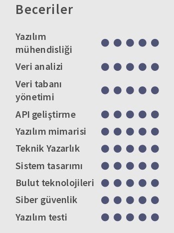 Yazılım Mühendisi CV Beceriler Yazılım Mühendisi CV Beceriler
